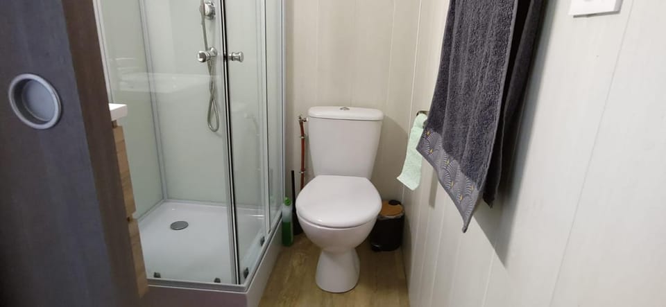 Shower, Toilet