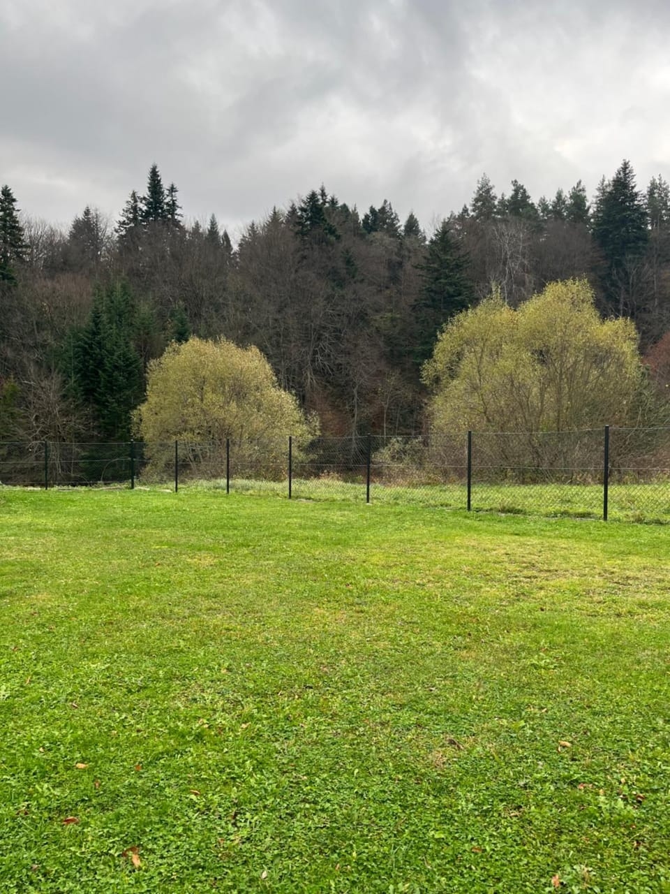 Natural landscape, Garden