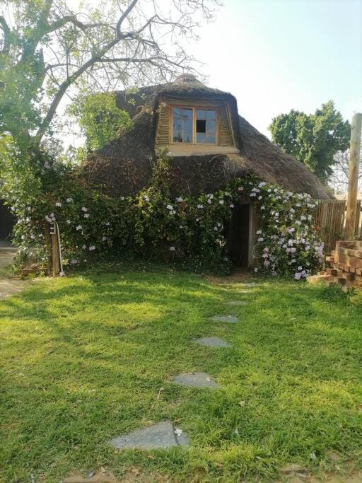 Sweet Melody Tree House Apartment in Africa