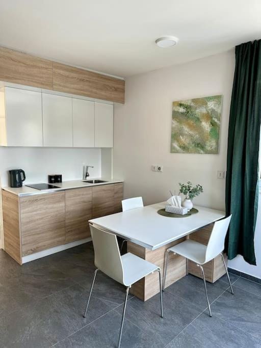 Palac Anežka C1 Apartment in Brno