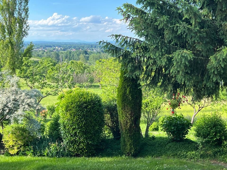 Natural landscape, Garden, Garden view