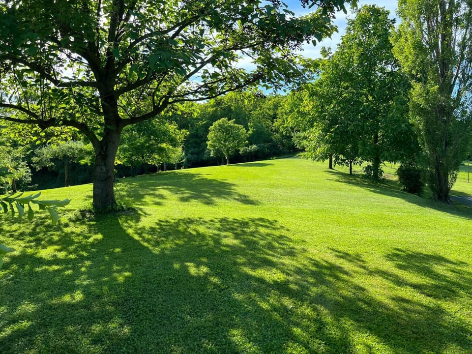 Natural landscape, Garden, Garden view