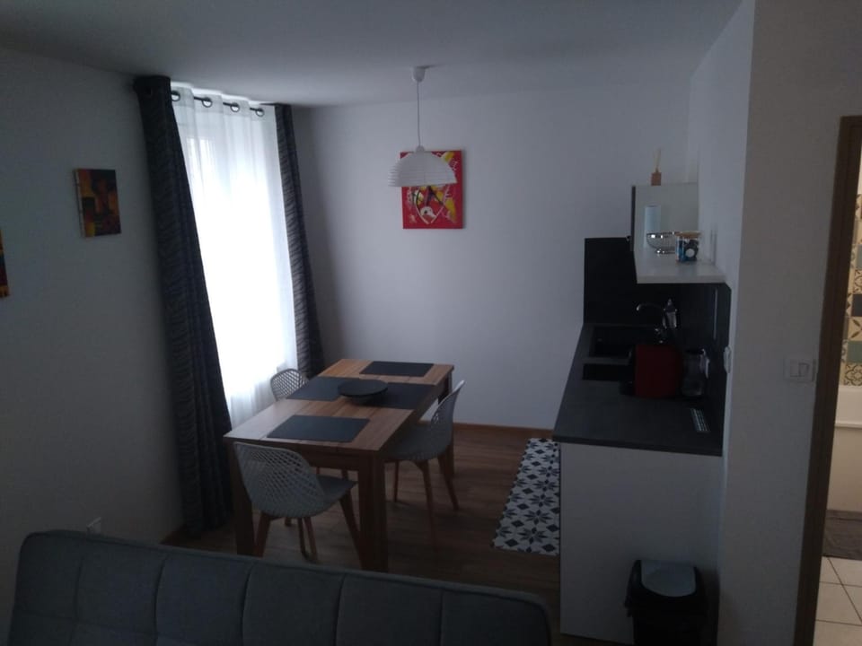 Appartement F2 Apartment in Nancy