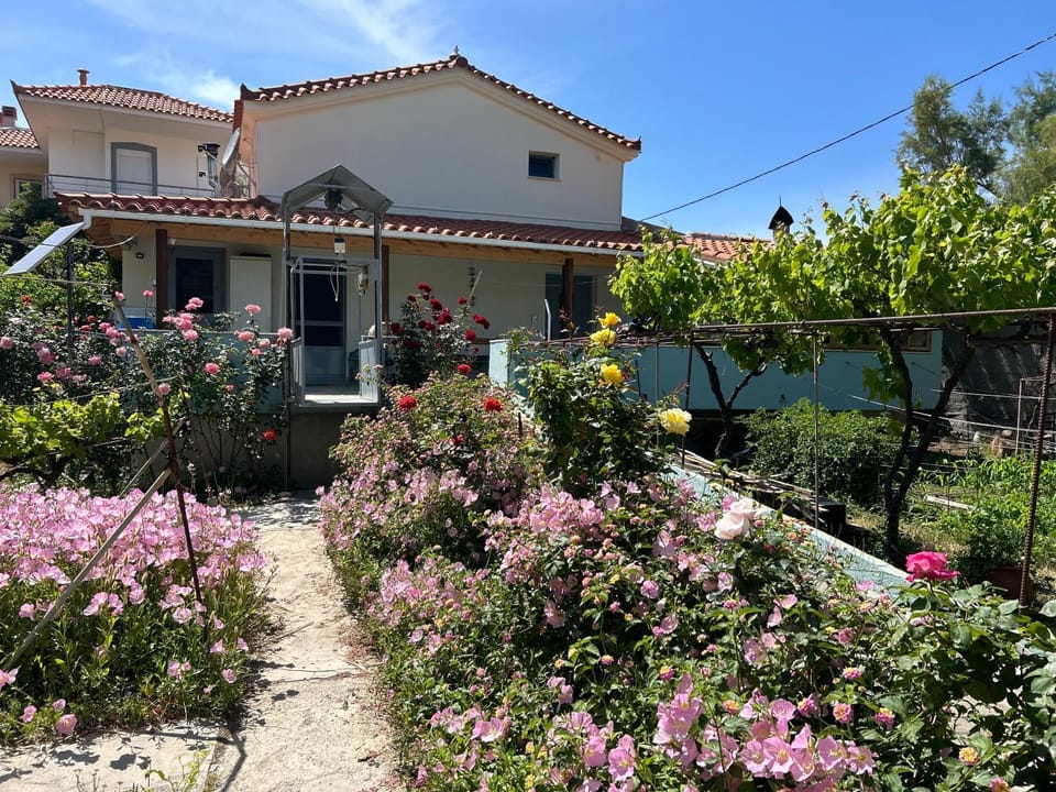 Spring, Garden, Garden view