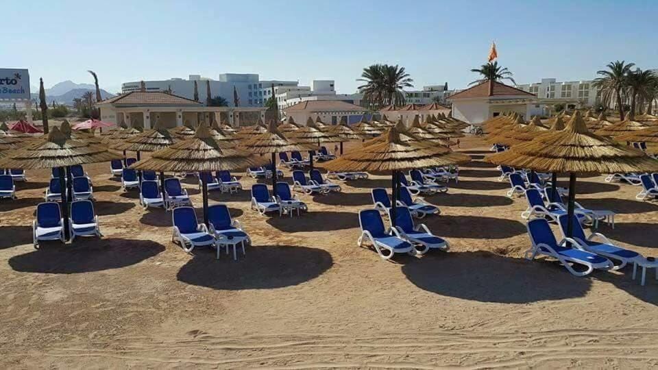 Communal lounge/ TV room, Day, Natural landscape, Beach, Evening entertainment, Sea view, sunbed