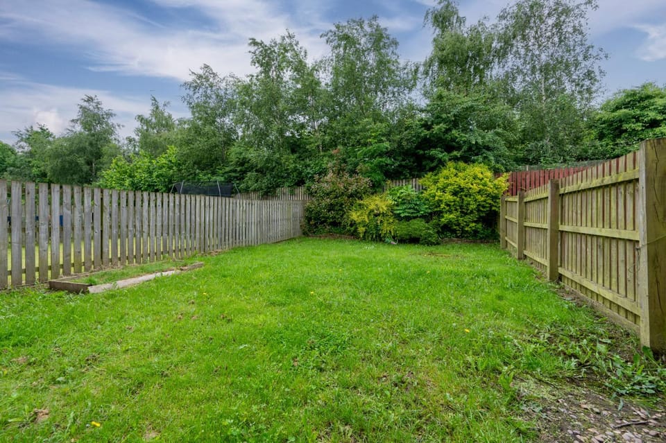 Garden, Garden view, Inner courtyard view