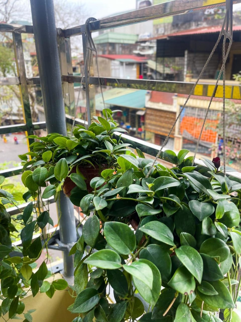 Sunny Garden Balcony in Old Quarter, Free Laundry, Free Water Vacation rental in Hanoi