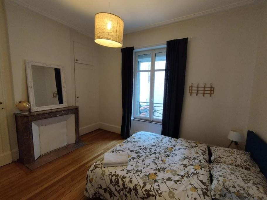 Logement familial hyper centre Apartment in Nancy