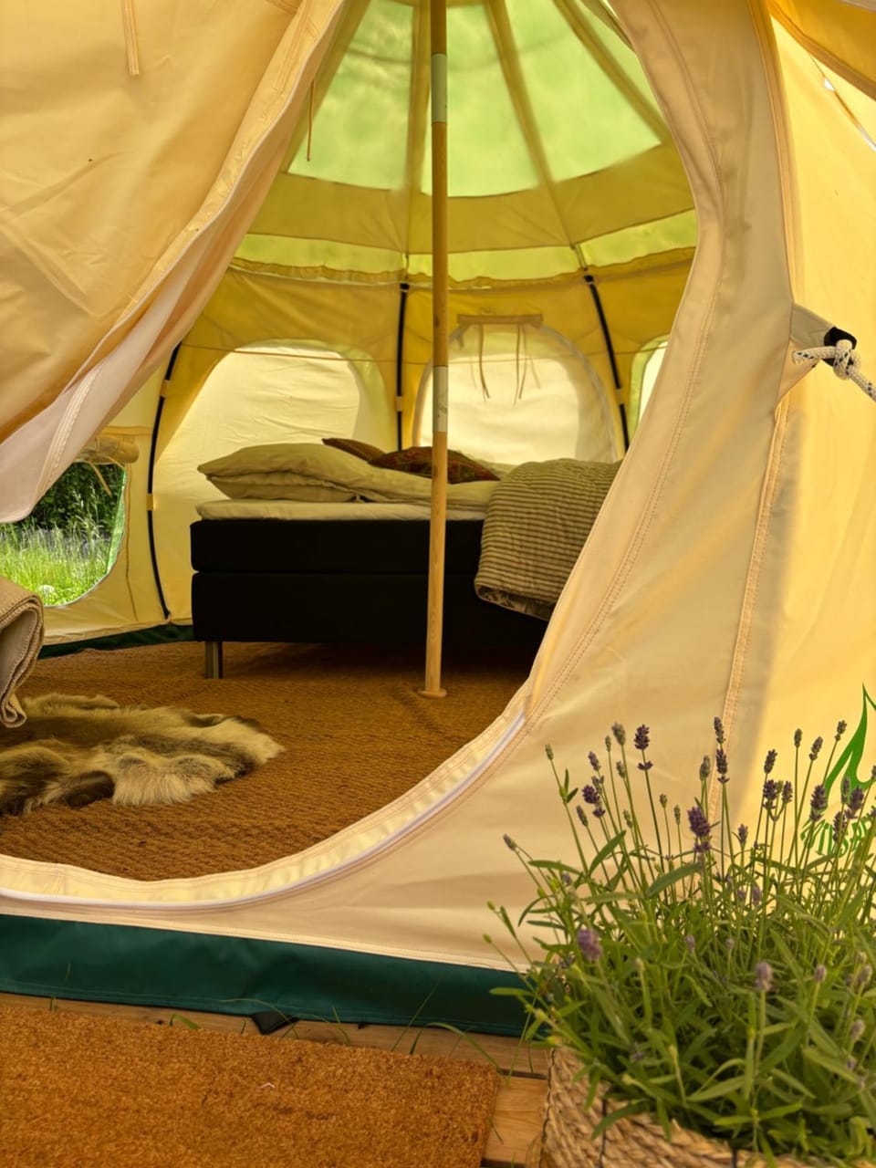Lundtoftegaard Luxury tent in Zealand