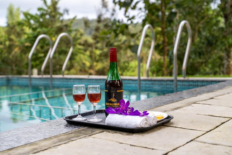 Swimming pool, Alcoholic drinks