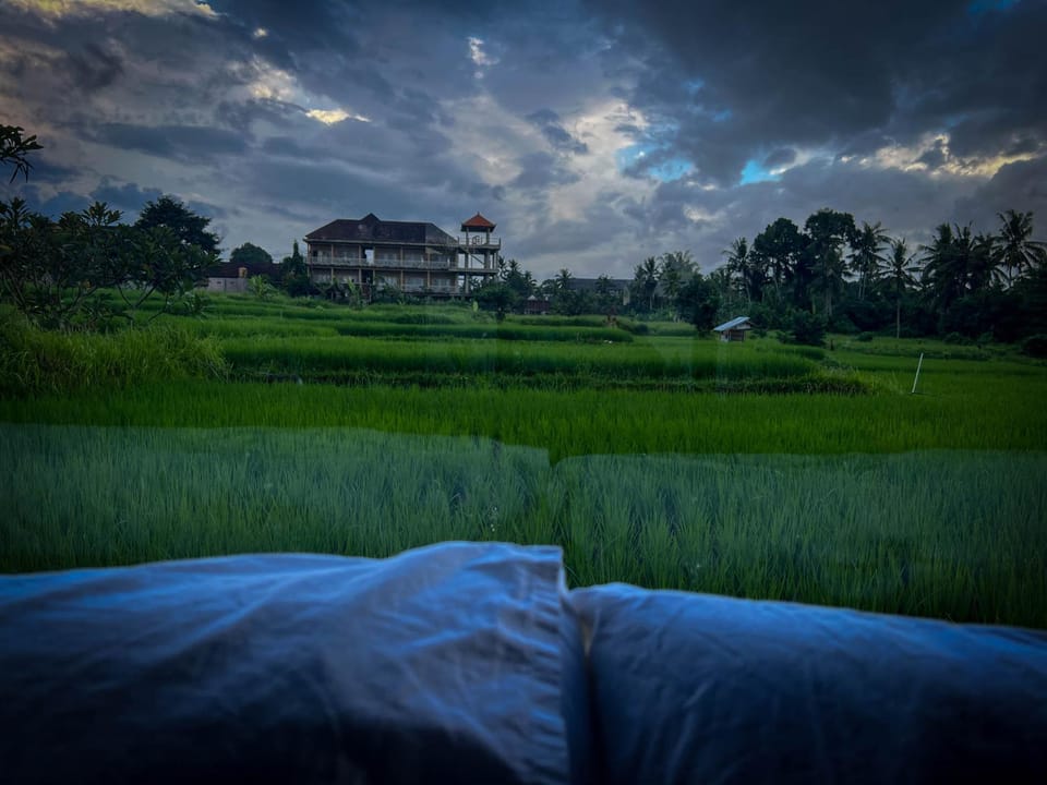 Bed, Natural landscape, Bedroom