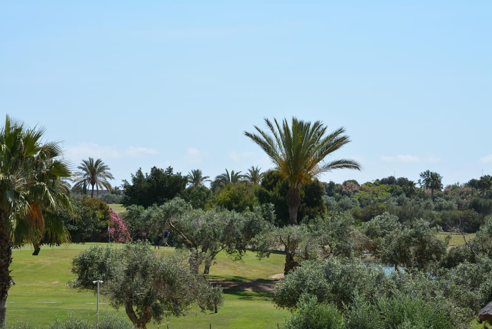 Golfcourse