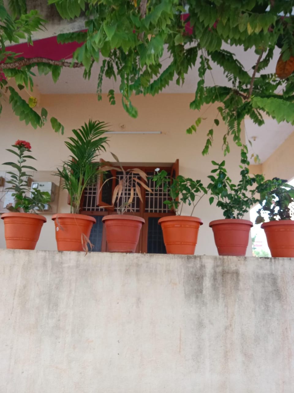 Sri arunachala shiva home stay 2 House in Tamil Nadu