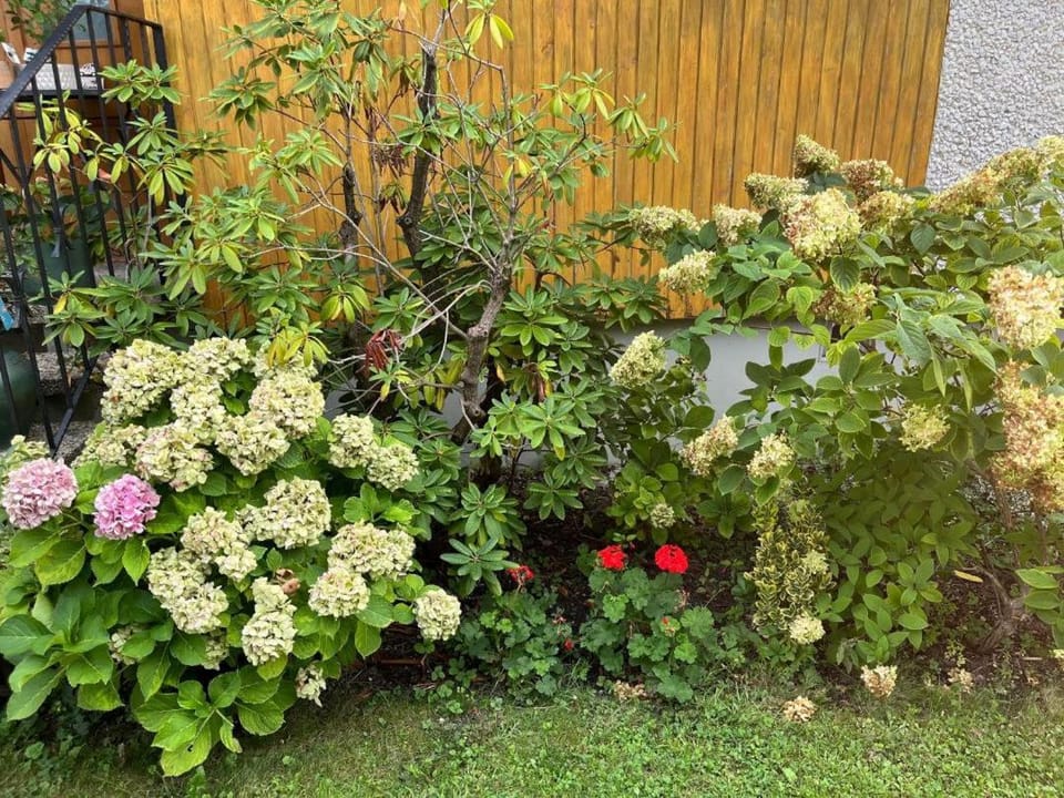 Marinela's BnB Bed and Breakfast in Vienna