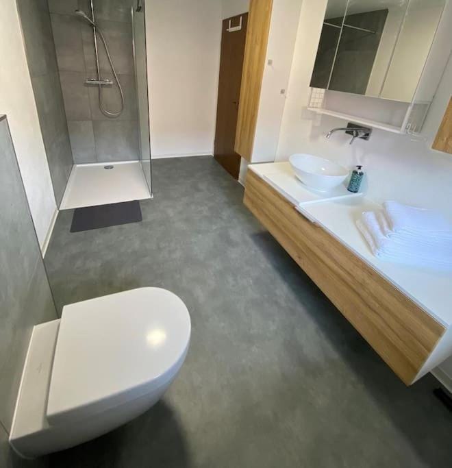 Shower, Toilet, Bathroom, towels