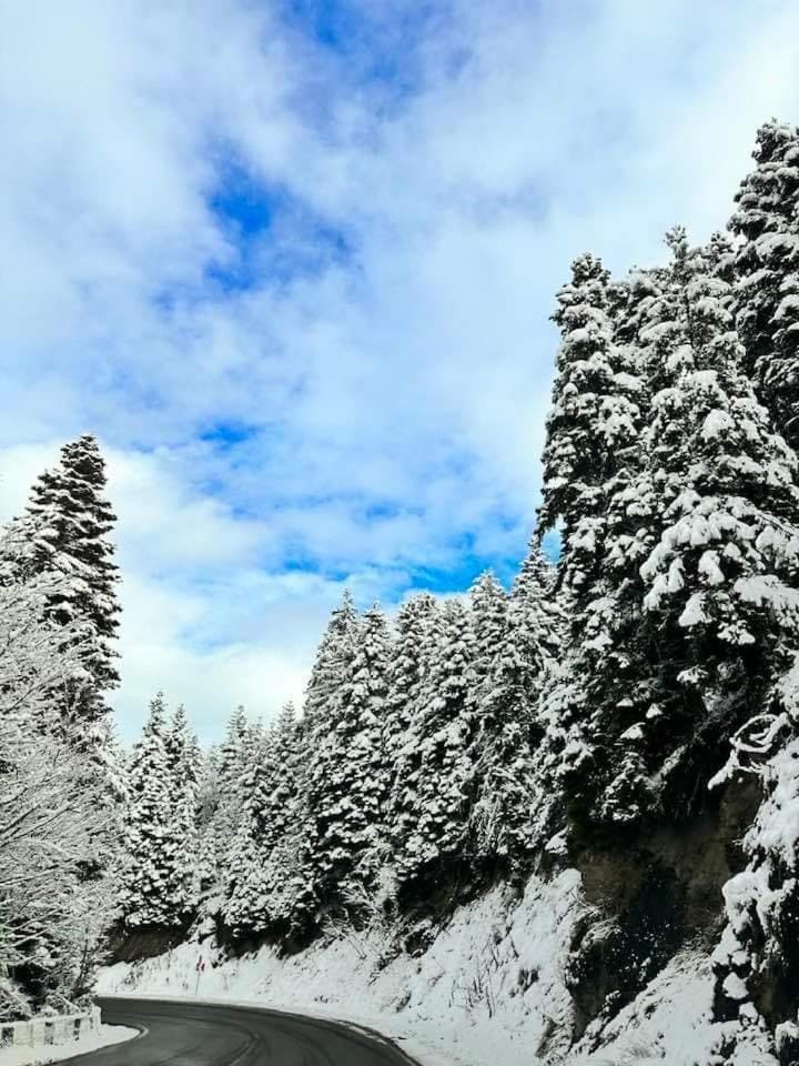Winter