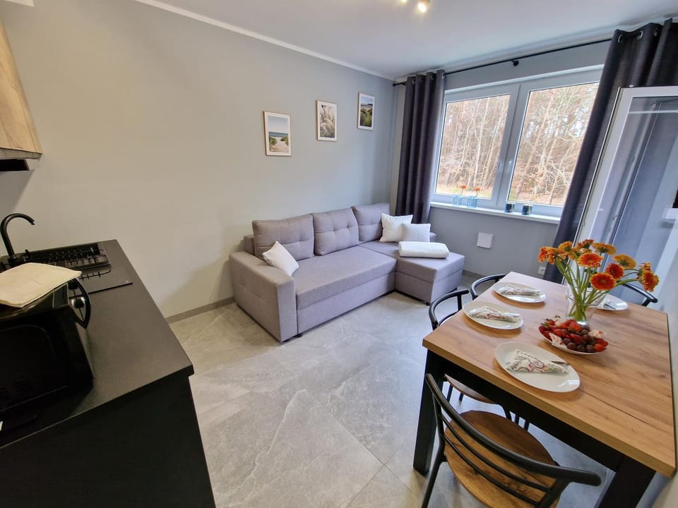Mario Leśny Klif 2 Apartment in Pomeranian Voivodeship