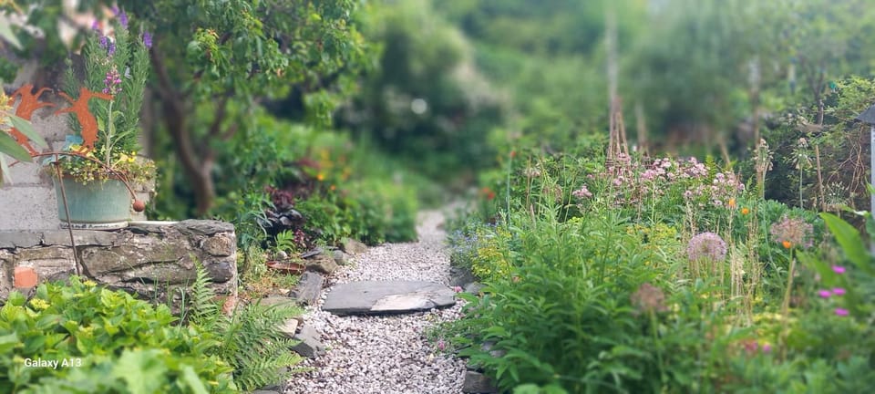 Hiraeth Homestay xxx Bed and Breakfast in Llangollen