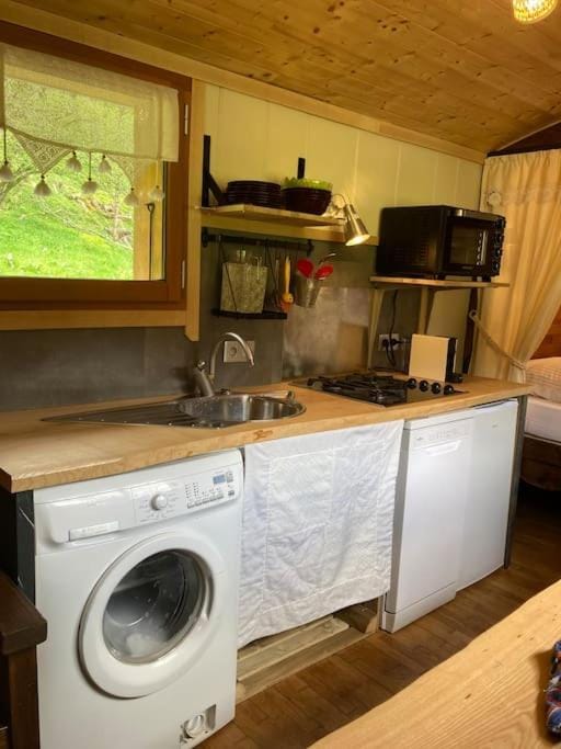 Kitchen or kitchenette, dishwasher, pet friendly, washing machine