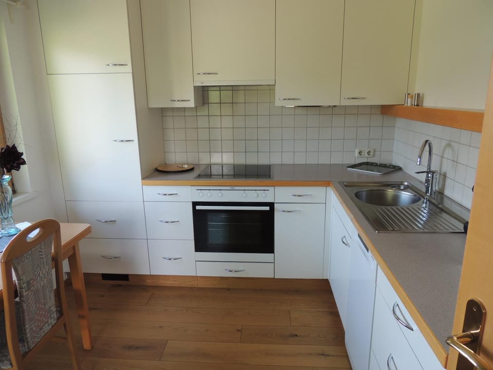 Kitchen or kitchenette, dishwasher, stove