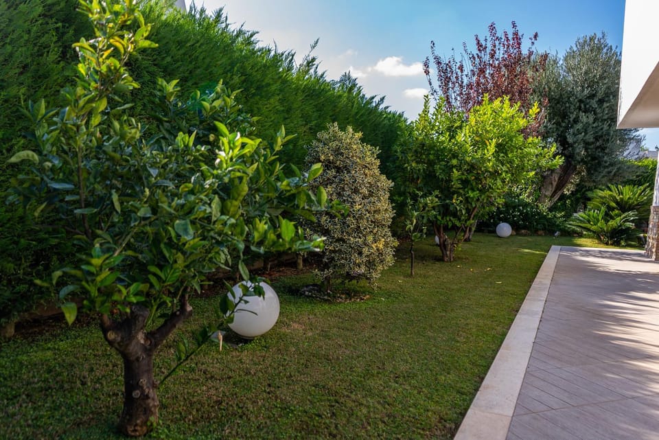 Spring, Day, Natural landscape, Garden, Garden view