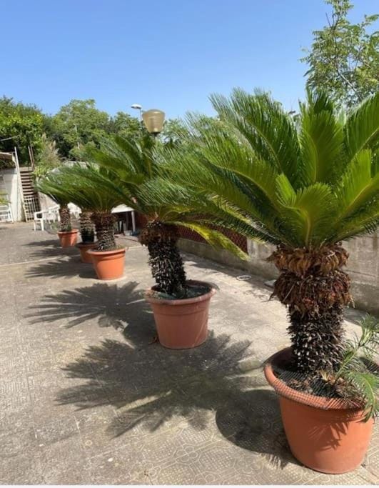 La dimora sul mare Apartment in Castellammare di Stabia