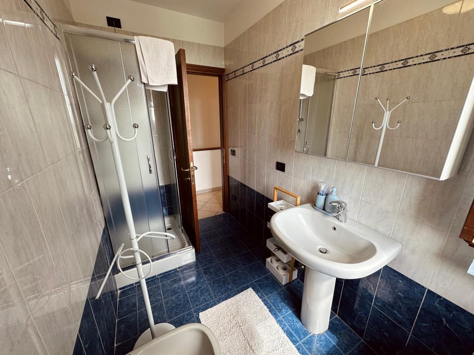 Shower, Toilet, Bathroom, towels