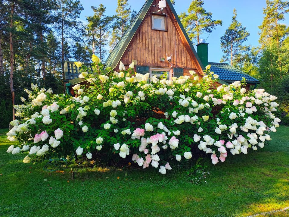 Chatka Baby Jagi - Domek z balią i kominkiem w lesie pośród jezior House in Pomeranian Voivodeship