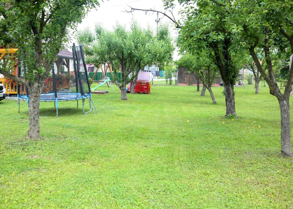 Apartmani Family Nikolic Apartment in Serbia