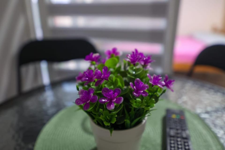 Banja Vrujci Apartmani Nikolic Apartment in Serbia