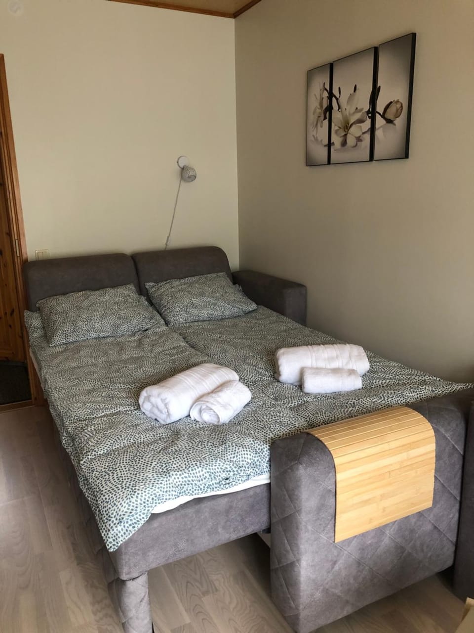 Bed, Living room, Photo of the whole room