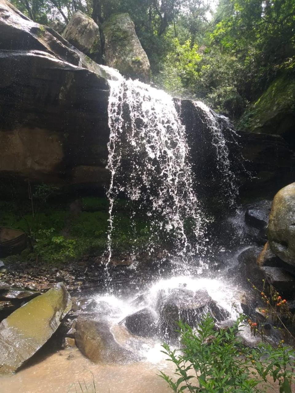 Top Lodge 4x4 Required Chalet in KwaZulu-Natal