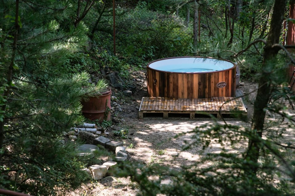 Natural landscape, Garden, Hot Tub