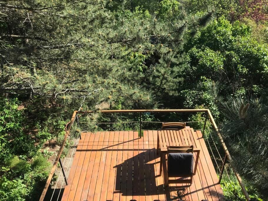 Patio, Day, Natural landscape, Garden, View (from property/room), Balcony/Terrace, Garden view