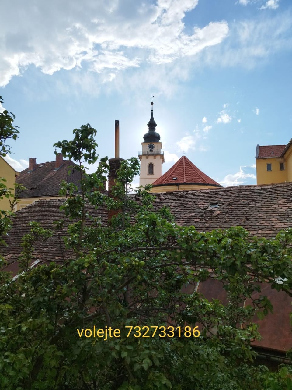View (from property/room)
