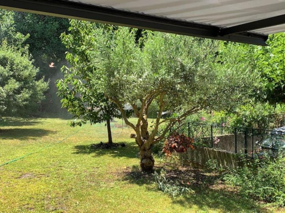 Garden view
