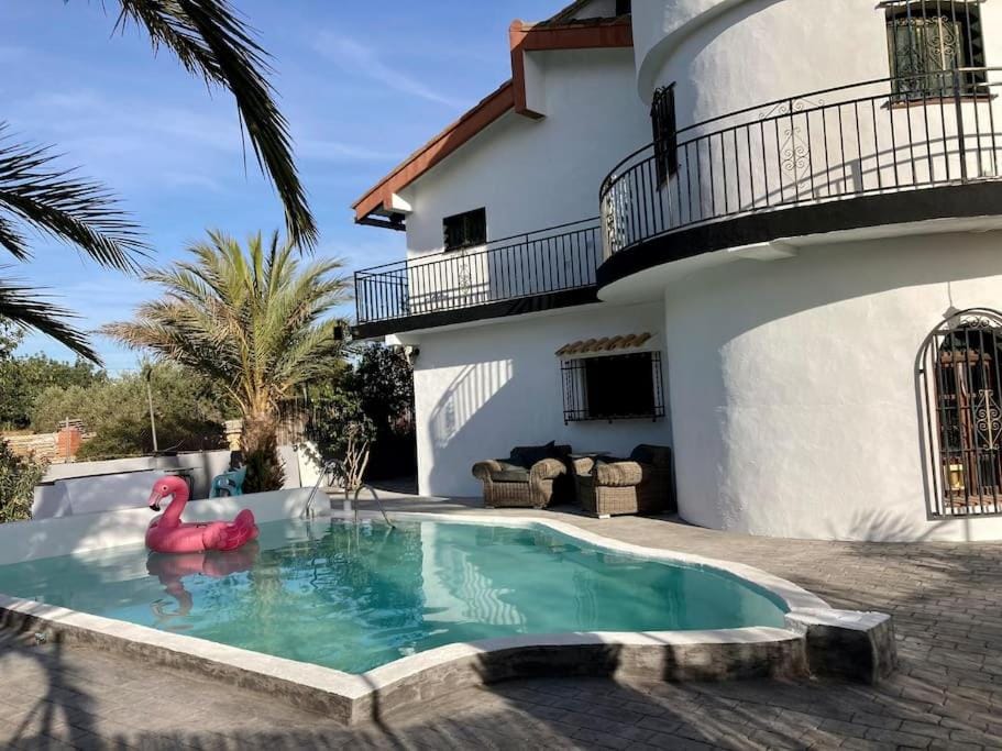 Day, Swimming pool, sunbed