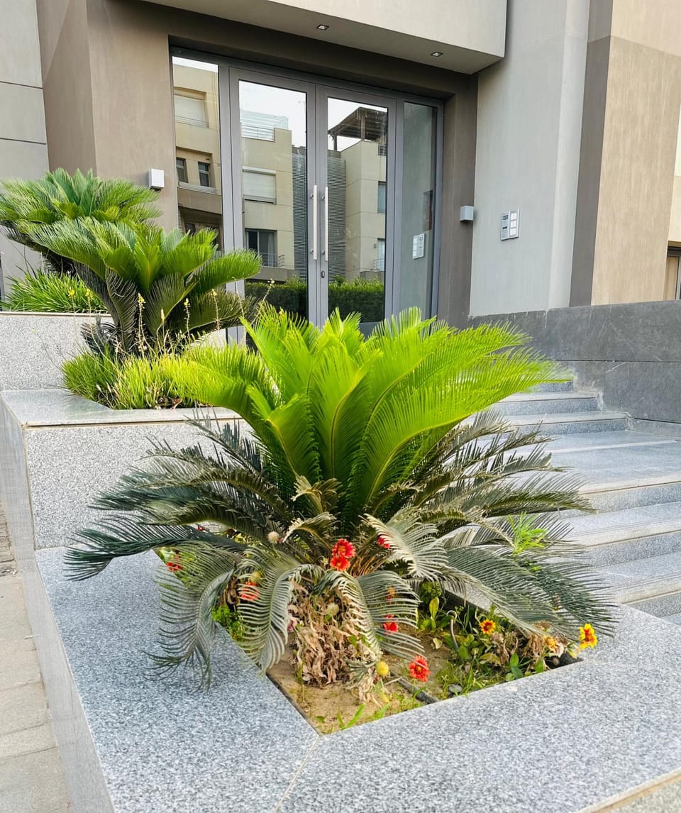 OMI Resdance silver palm Apartment in New Cairo City