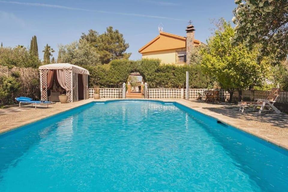 Pool view, Swimming pool
