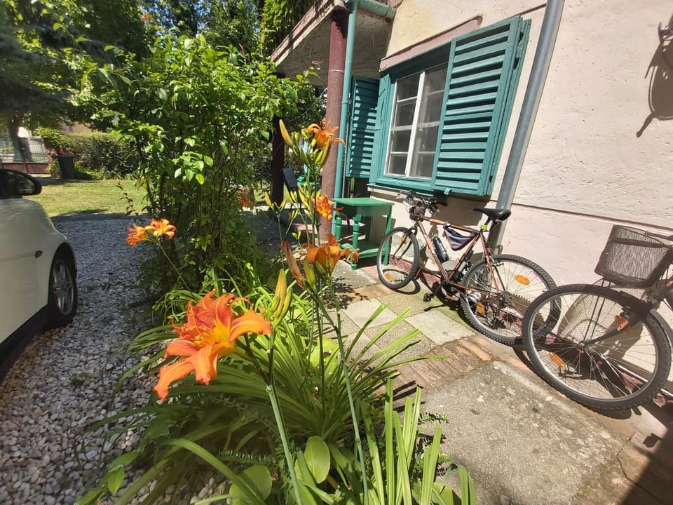 Garden, Cycling