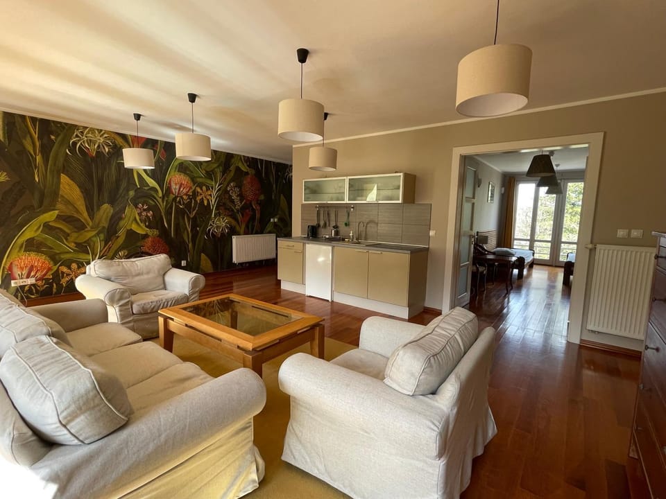 TV and multimedia, Kitchen or kitchenette, Living room, Seating area, Dining area, oven