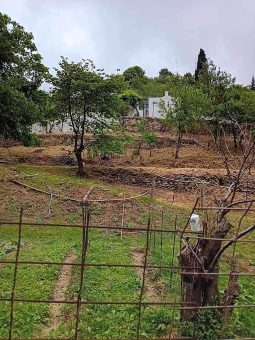 Garden, Garden view