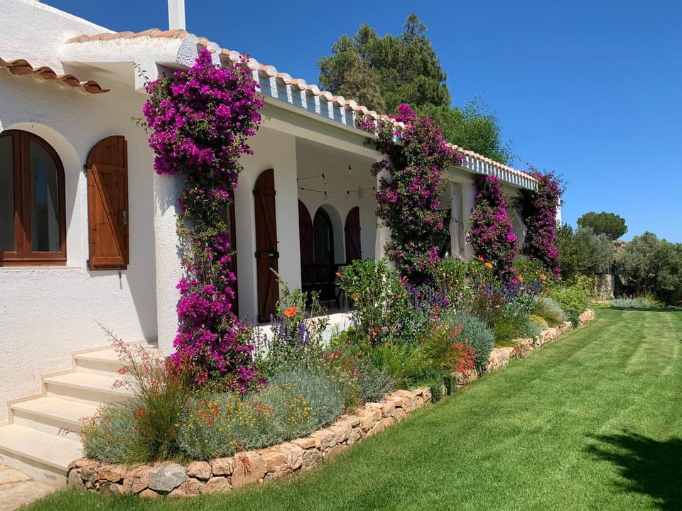 Property building, Garden, Garden view, Garden view