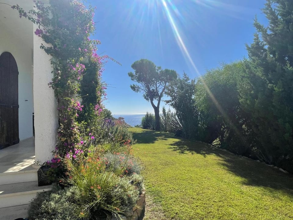 Natural landscape, Garden, Garden, Garden view