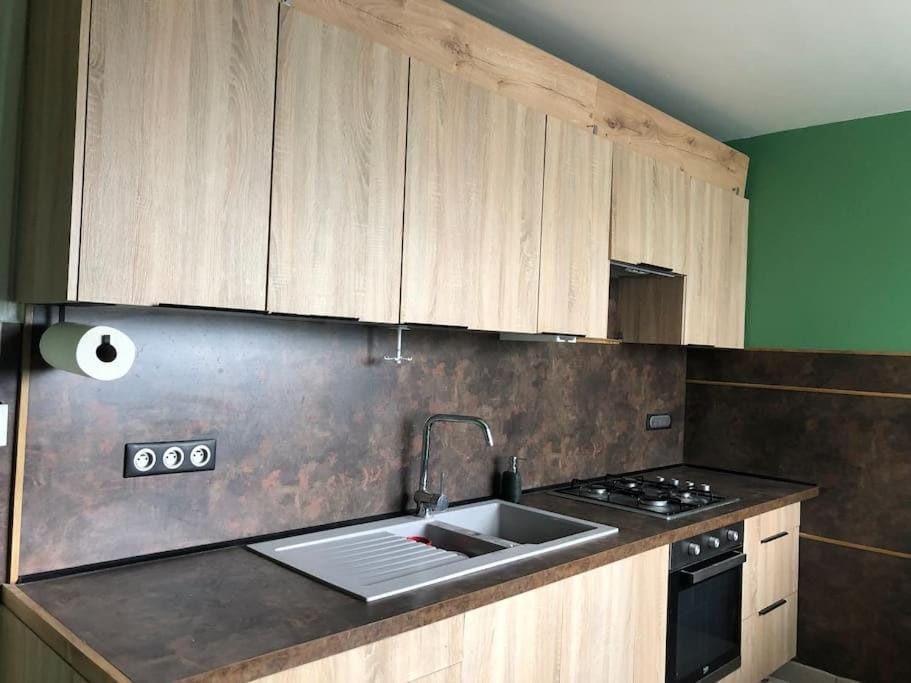 Beau T2 rénové Apartment in Haute-Savoie