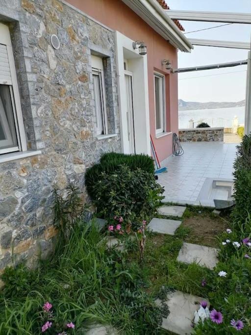 Modern house by the sea House in İzmir Province