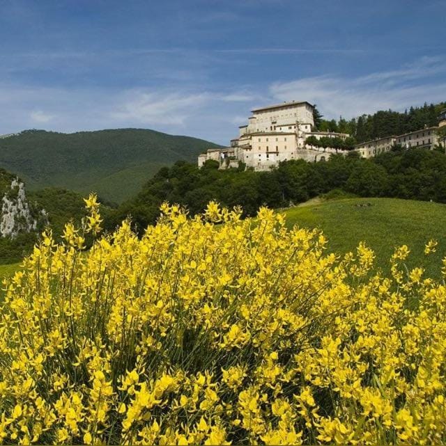 Casa in collina Apartment in Umbria