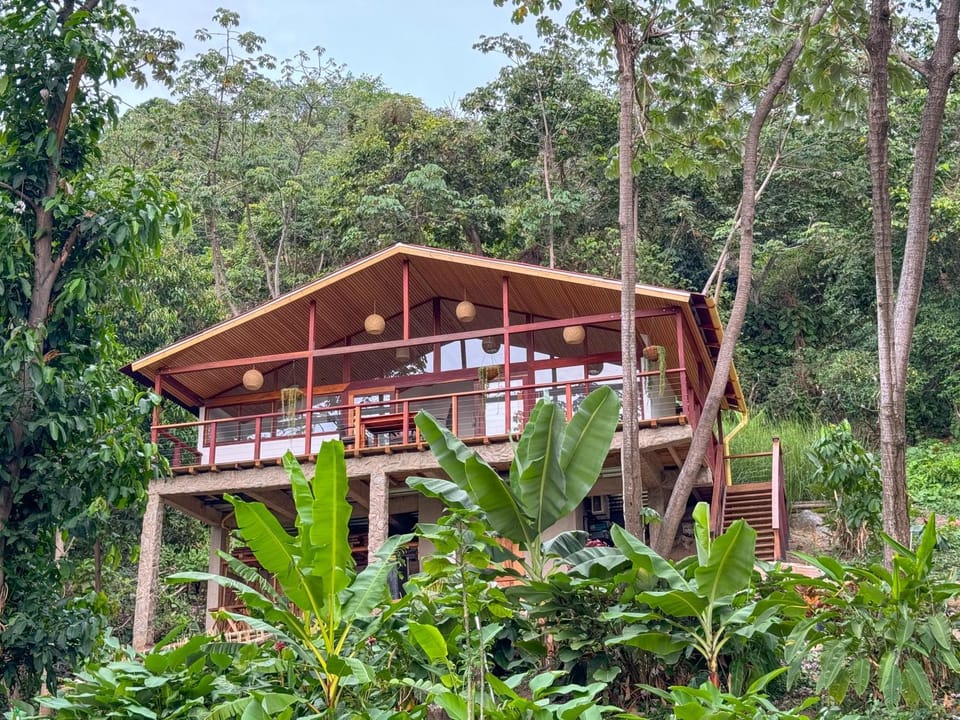 Property building, Garden view