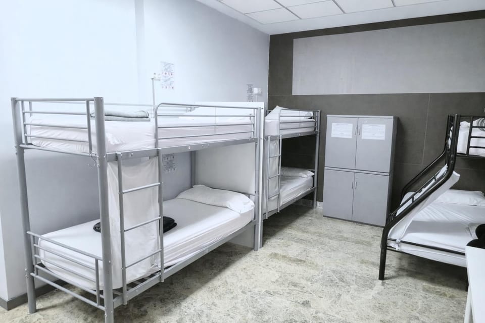 Bed, Photo of the whole room, Bedroom, bunk bed