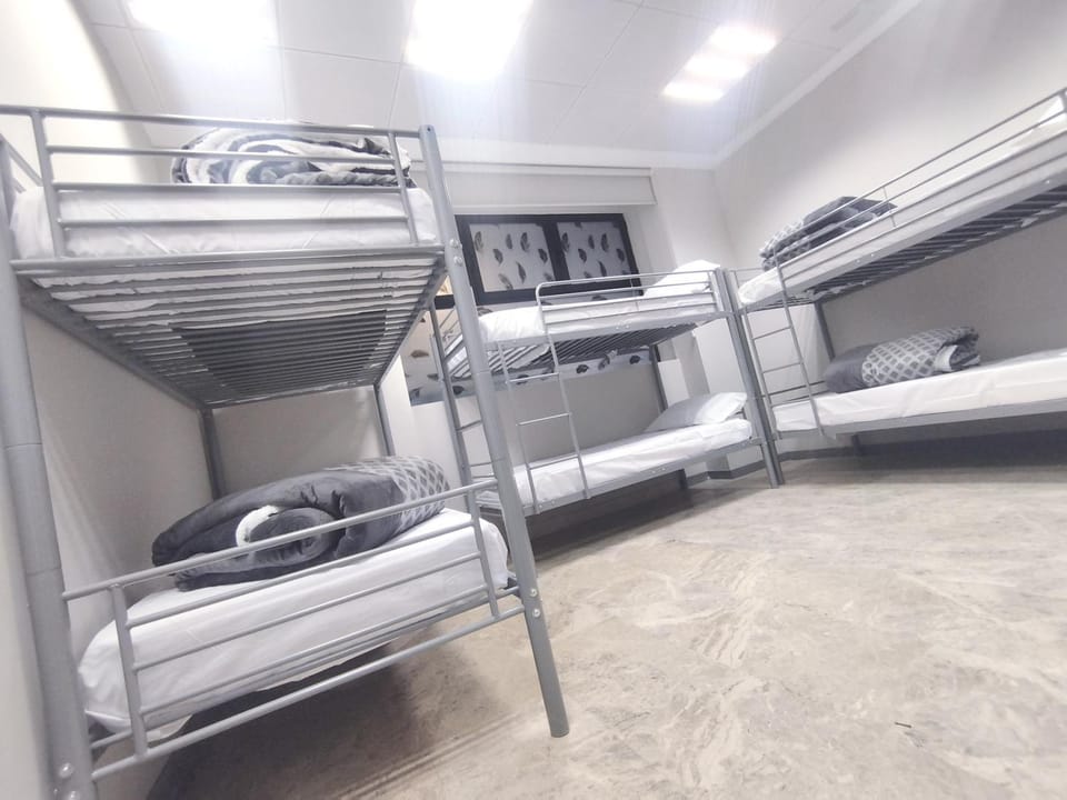 Bed, Photo of the whole room, Bedroom, bunk bed